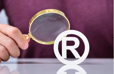Trademark Search